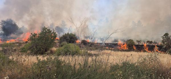 שריפה משתוללת בגוש עציון: כביש 60 נסגר לתנועה