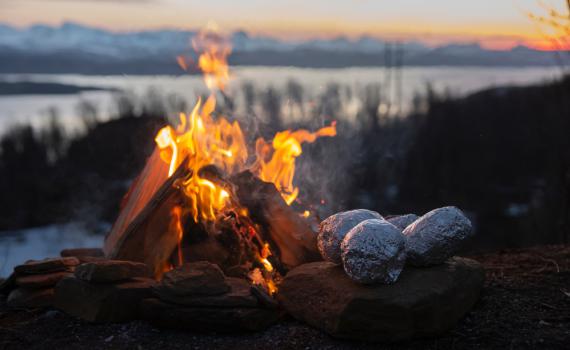 לפני ל"ג בעומר: מה צריך לדעת על תפוחי אדמה למדורה