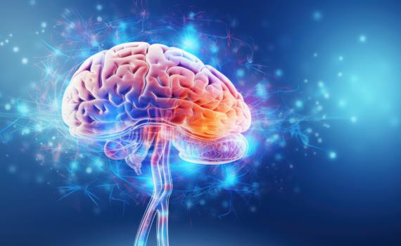 חושבים שאתם מכירים את המוח שלכם? העובדות האלו יטלטלו אתכם