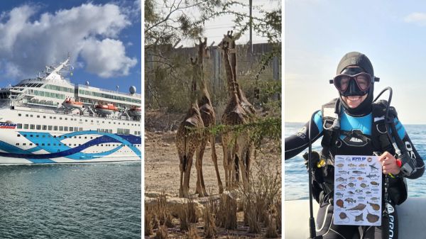 עולם התרבות מתעורר: חגיגות ים, ג'ירפות ומלונות חדשים