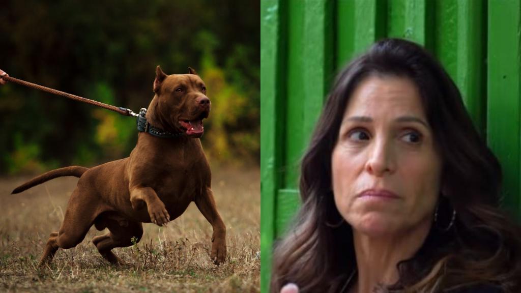 גם אורנה בנאי מגנה על הפיטבול שהרג תינוקת: "בכלבים אין רוע"