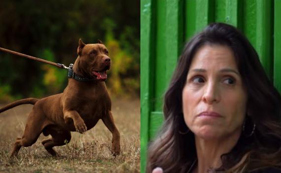 גם אורנה בנאי מגנה על הפיטבול שהרג תינוקת: "בכלבים אין רוע"