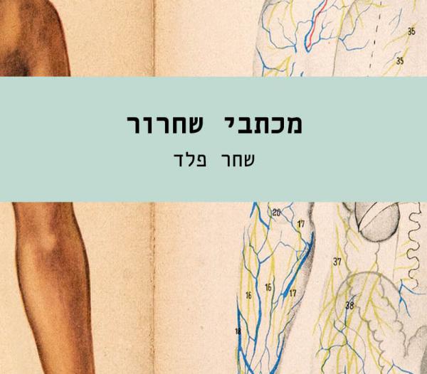 קצת אסקפיזם: המלצות ספרים לשבוע הספר