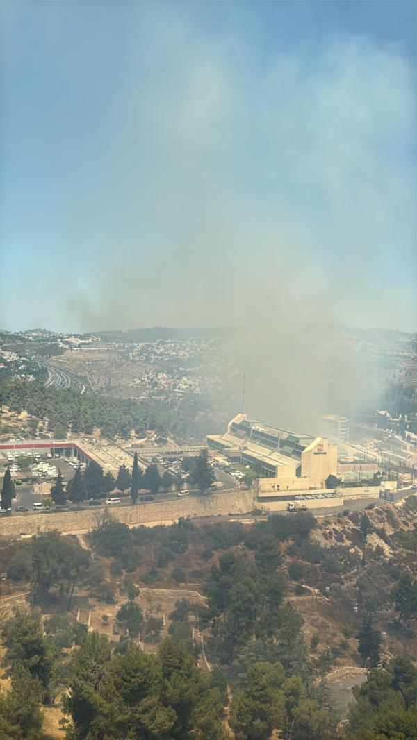שריפה בגבעת שאול: הלהבות סמוכות למשרדי חברת חשמל