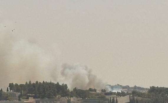 השריפה בעין כרם: מוסדות חינוך רבים מתפנים מהאזור