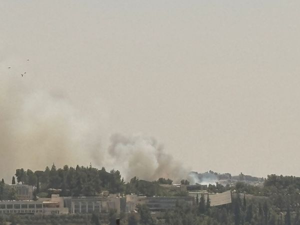 השריפה בעין כרם: מוסדות חינוך רבים מתפנים מהאזור