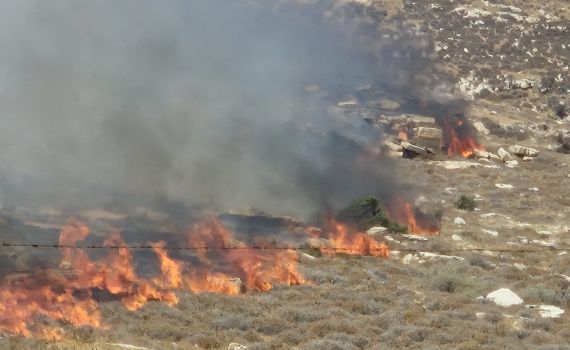 שריפה פרצה בשדה קוצים בעין לבן ומתפשטת לכיוון בנייני מגורים