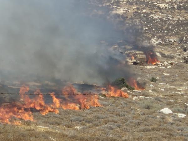 שריפה פרצה בשדה קוצים בעין לבן ומתפשטת לכיוון בנייני מגורים