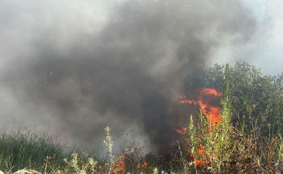 שריפת קוצים באום אל פאחם: בתים פונו, מחסן עלה באש