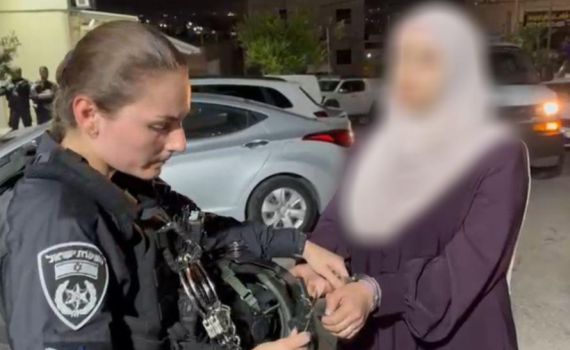 "אין טהור מדם השהידים": תושבת הגליל הסיתה ונעצרה. צפו