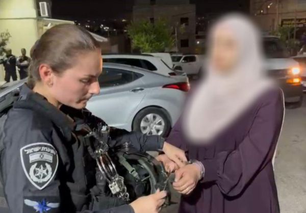 "אין טהור מדם השהידים": תושבת הגליל הסיתה ונעצרה. צפו