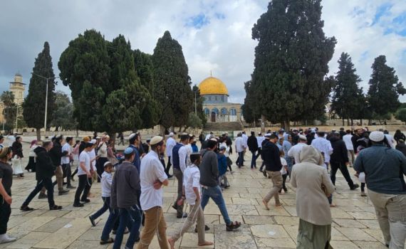 בעקבות הפסקת האש: מנהלת הר הבית בהודעה לציבור