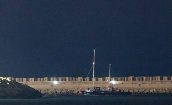 אונייה של 1,500 חוזרים מחו"ל עגנה באשדוד