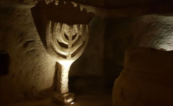 טיול שבועי: בעקבות מנורת שבעת הקנים בבית שערים