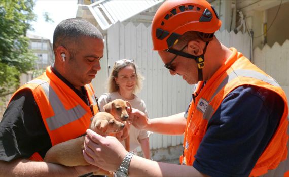 נס על ארבע: גורי כלבים אותרו בתוך דירה בבת ים שניזוקה מהירי