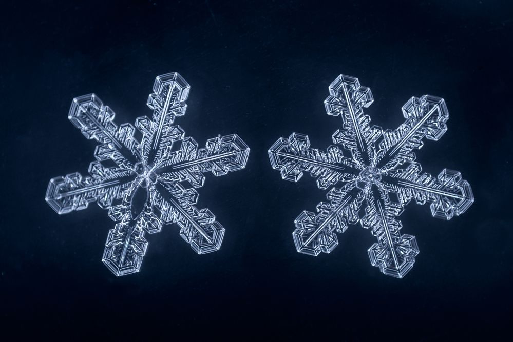 המסתורין של המים: האם מילים באמת יכולות לרפא?