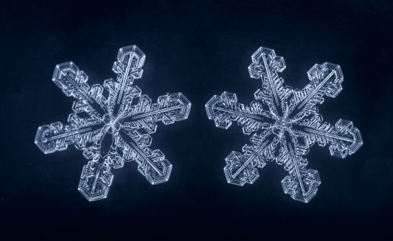 המסתורין של המים: האם מילים באמת יכולות לרפא?