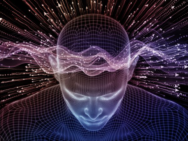 תודעה בלי מוח? המדע מתחיל לשאול את השאלה האסורה