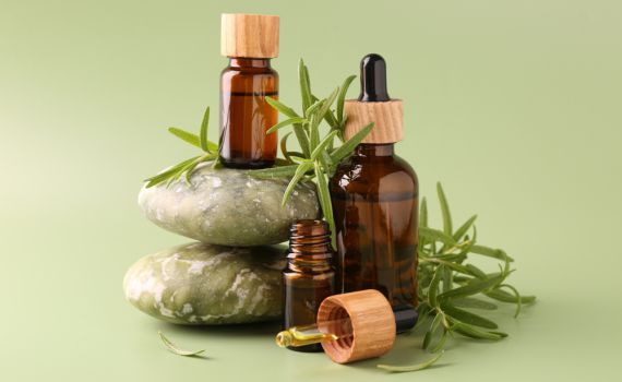 פלאי הרוזמרין: הסוד הירוק שישפר לכם את הזיכרון