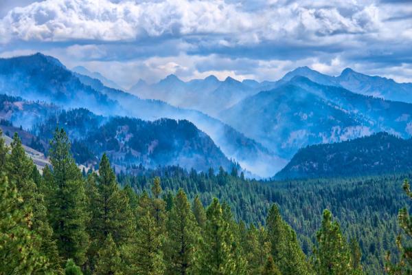 מארב חריג בארה"ב: 2 כבאים נורו למוות לאחר שהוזעקו לשריפה