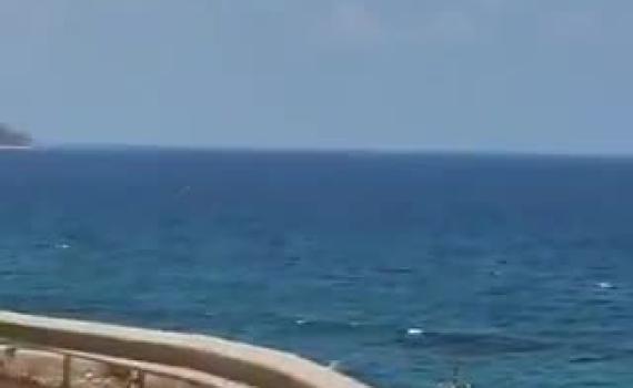 בלבנון טוענים: צה"ל "חטף" דייג שהתקרב לגבול הימי