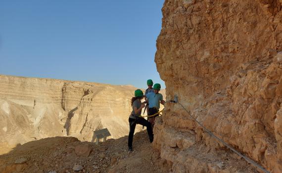יורדים לאילת? המלצות קיץ לאטרקציות ואירועים בדרום