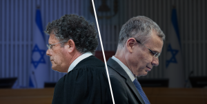 לוין אחרי התבוסה בבג"צ: "הם מפחדים מגילוי האמת"