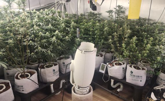 בדירה בלב חיפה: מעבדת סם ו-100 קילו מריחואנה