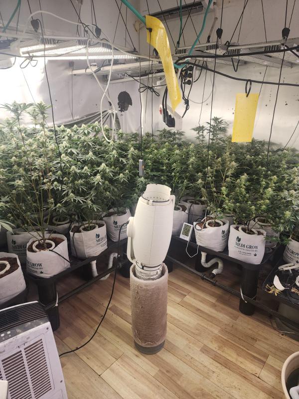 בדירה בלב חיפה: מעבדת סם ו-100 קילו מריחואנה