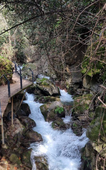 הצפון גועש: שלושת המפלים שכדאי לראות עכשיו