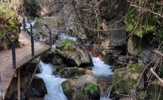 הצפון גועש: שלושת המפלים שכדאי לראות עכשיו