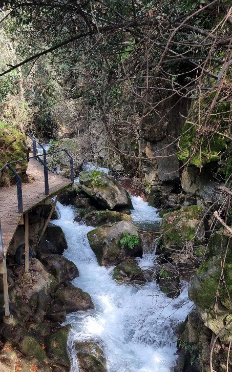 הצפון גועש: שלושת המפלים שכדאי לראות עכשיו