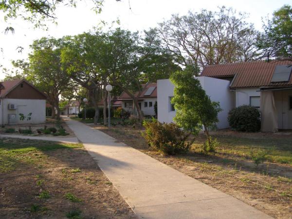 תחקיר קרב קיבוץ סופה: כשל צבאי לצד גבורה מקומית