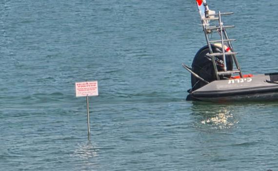 בגלל הבצורת: סכנה חדשה בחופי הכנרת | צפו