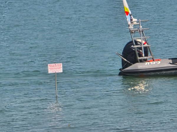 בגלל הבצורת: סכנה חדשה בחופי הכנרת | צפו