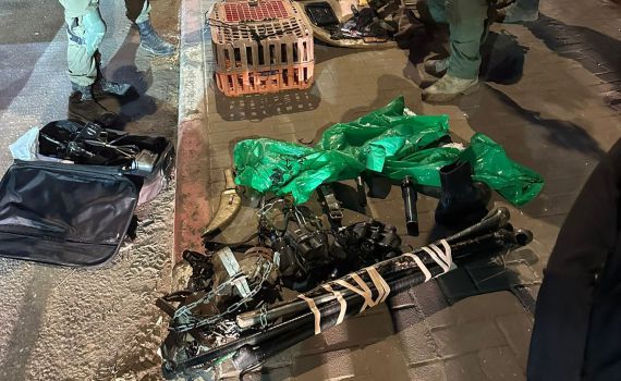 התחזו לחיילים וגידלו כלבים לתקיפה | אב ובנו נעצרו