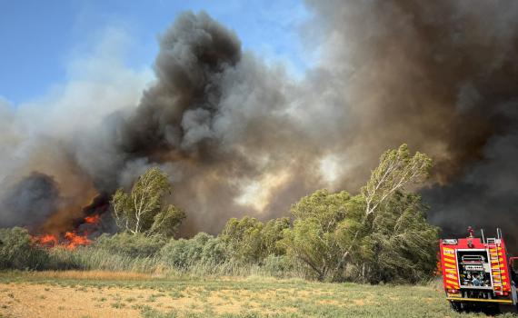גל שריפות בשעה זו: חשד להצתה בגוש עציון