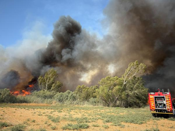 גל שריפות בשעה זו: חשד להצתה בגוש עציון