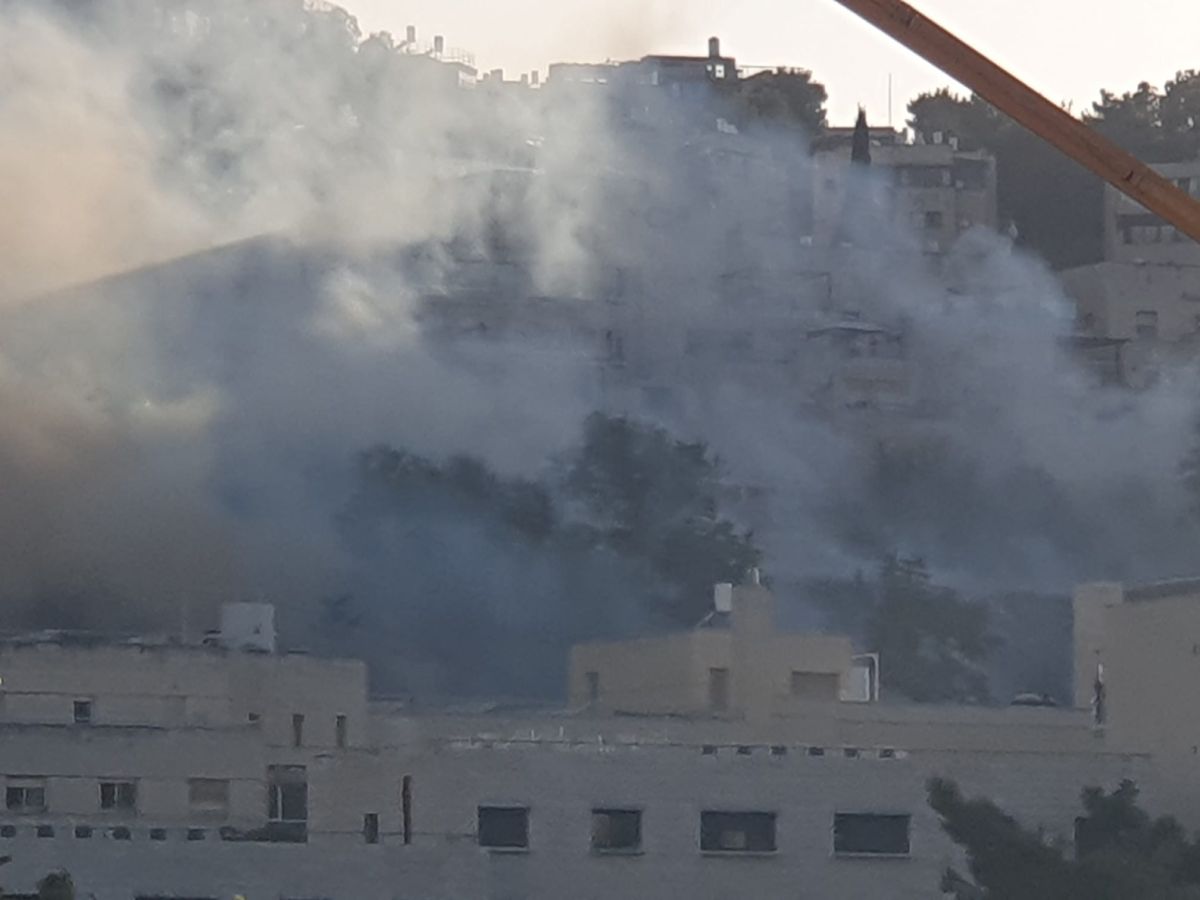 שריפה ליד מכון לב: מטוסי כיבוי באוויר