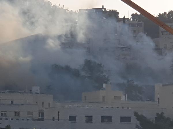 שריפה ליד מכון לב: מטוסי כיבוי באוויר