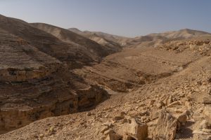 מדבר יהודה: סריקות אחרי אדם שנראה נסחף במים