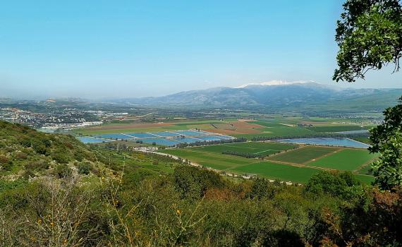 בעקבות הדרמה בסוריה: מועצה איזורית גולן בהודעה לתושבים