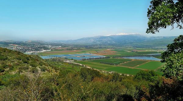 בעקבות הדרמה בסוריה: מועצה איזורית גולן בהודעה לתושבים