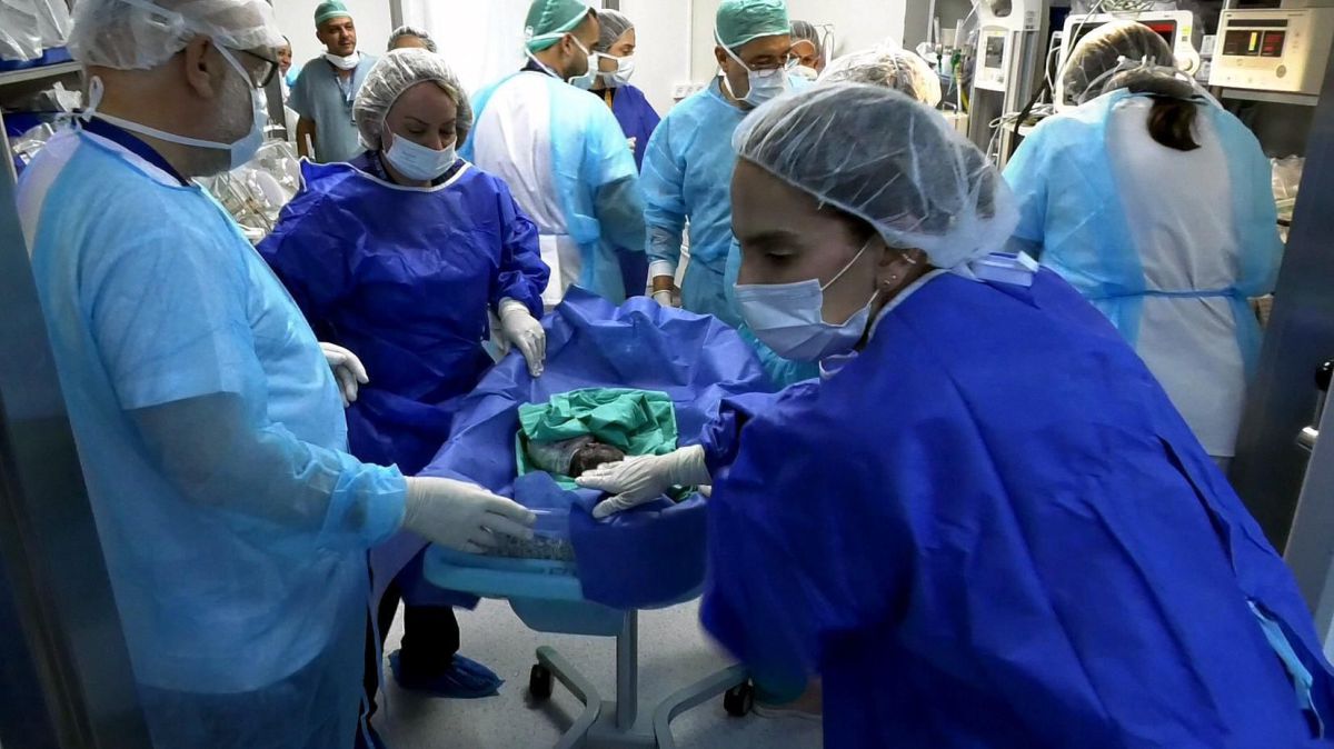 אירוע רפואי נדיר בזיו: שתי שלישיות נולדו בהפרש של חמש שעות