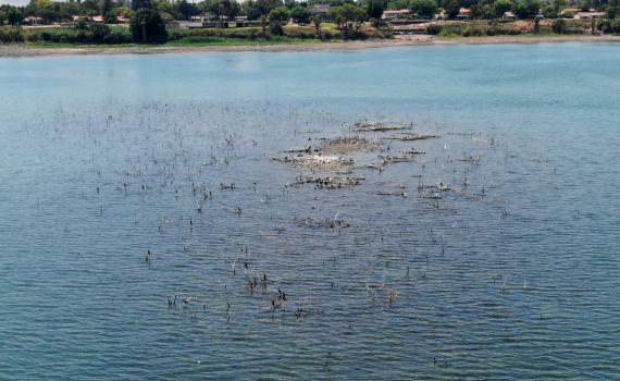 דאגה בצפון: נחשף האי המפורסם בכנרת