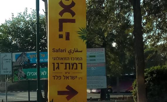 בייבי בום מרגש בספארי