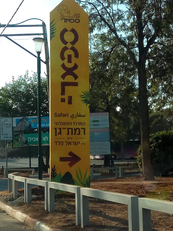 בייבי בום מרגש בספארי