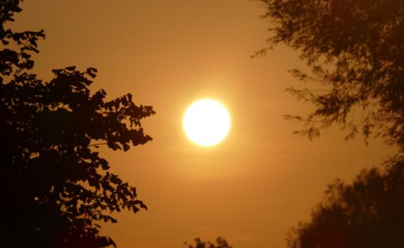 אל תצאו מהבית: גל חום קיצוני וארוך. תחזית מזג אוויר לסופ"ש