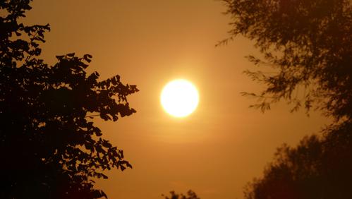 אל תצאו מהבית: גל חום קיצוני וארוך. תחזית מזג אוויר לסופ"ש