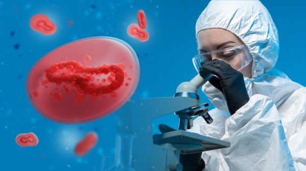 גילוי פורץ דרך: יצור חדש מטשטש את הגבול בין חיים לחוסר-חיים